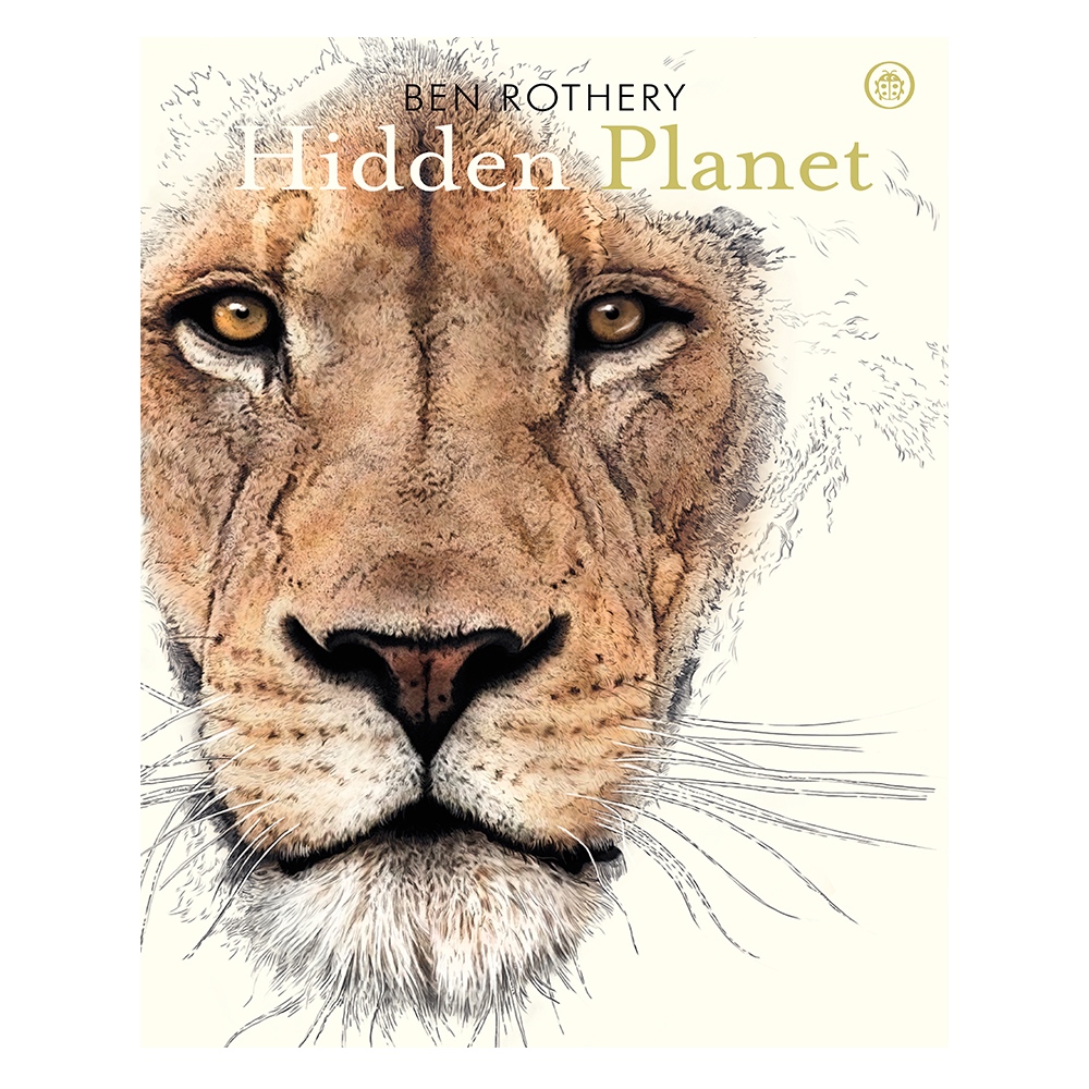 HIDDEN PLANET Çocuk Kitapları Uzmanı - Children's Books Expert