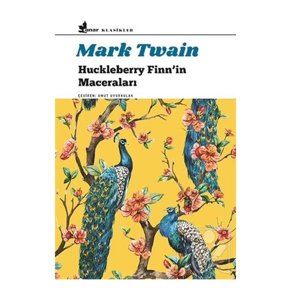 Huckleberry Fınn İn Maceraları Çocuk Kitapları Uzmanı - Children's Books Expert