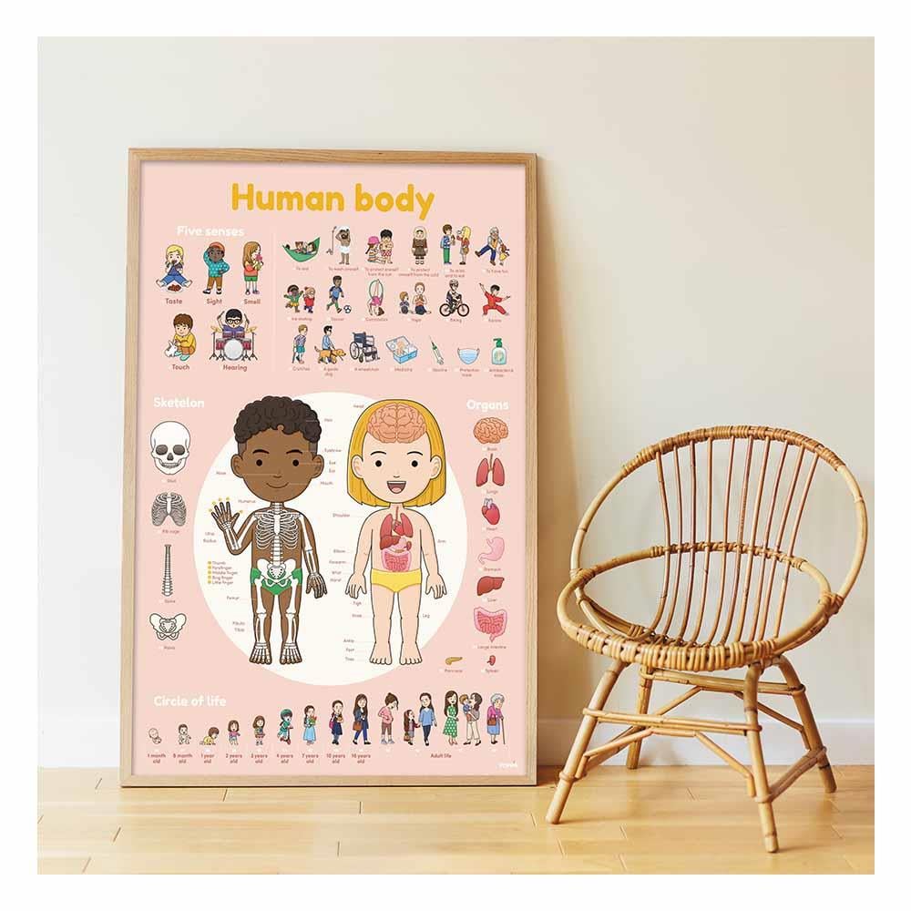 Human Body - Poster XXL And Stickers Çocuk Kitapları Uzmanı - Children's Books Expert