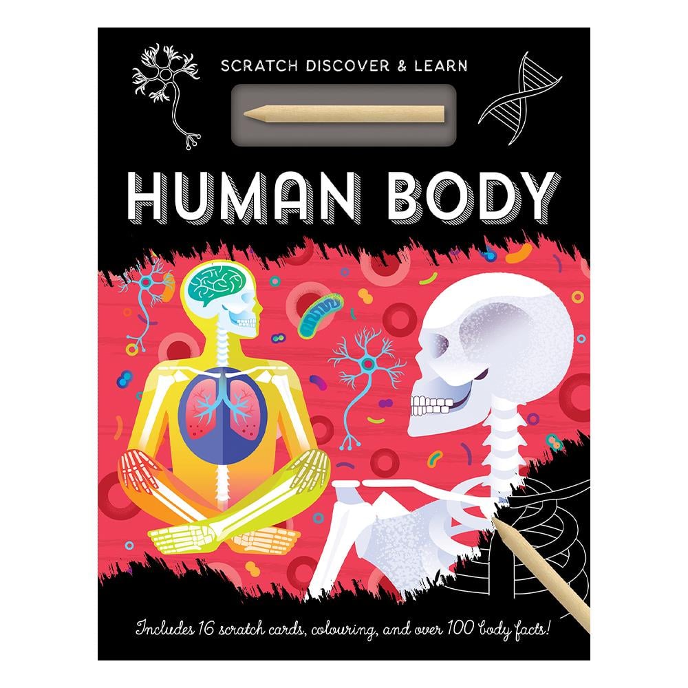 Human Body - Scratch, Discover And Learn Çocuk Kitapları Uzmanı - Children's Books Expert