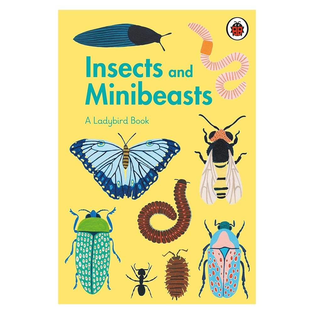 INSECTS AND MINIBEASTS - A LADYBIRD BOOK Çocuk Kitapları Uzmanı - Children's Books Expert