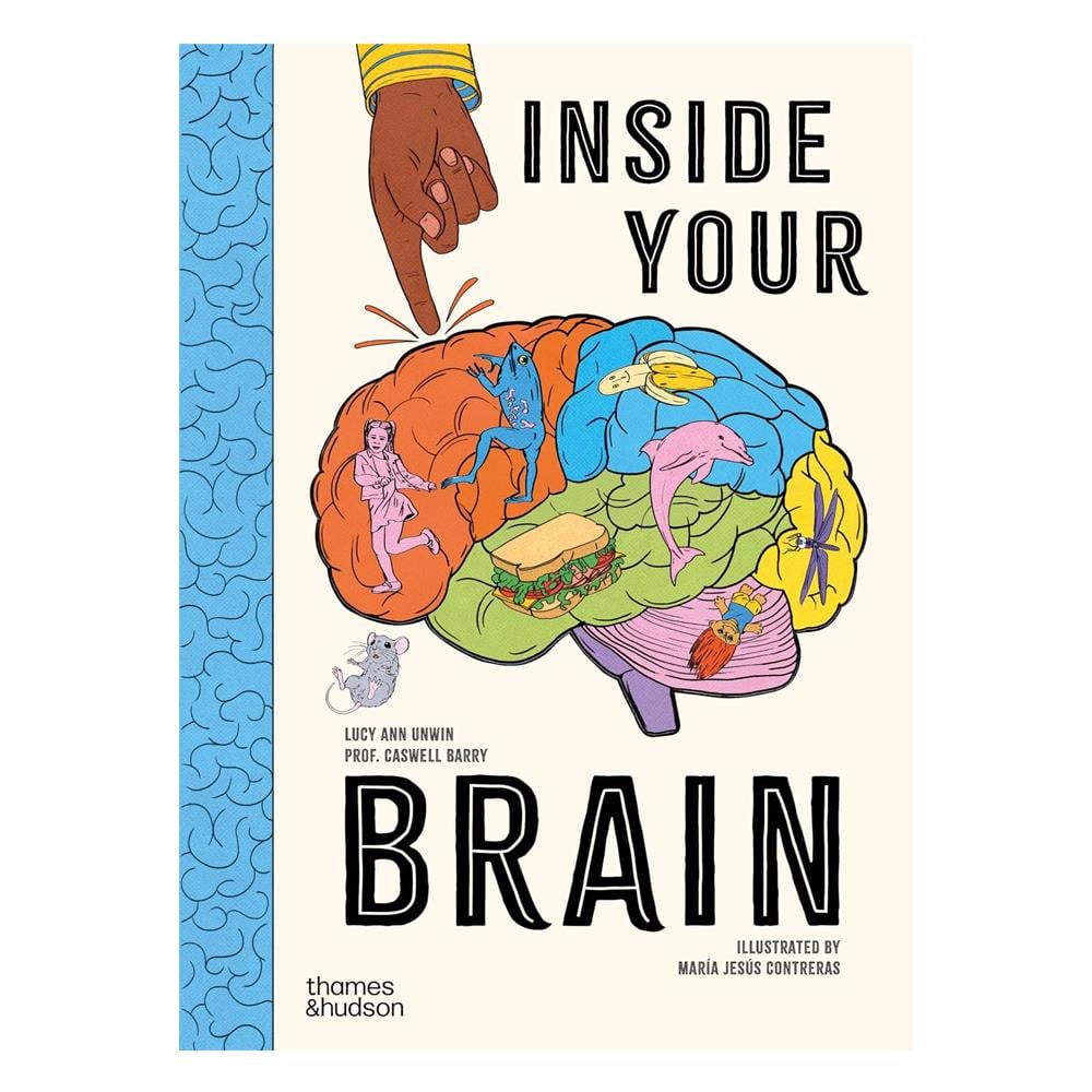 Inside Your Brain Çocuk Kitapları Uzmanı - Children's Books Expert