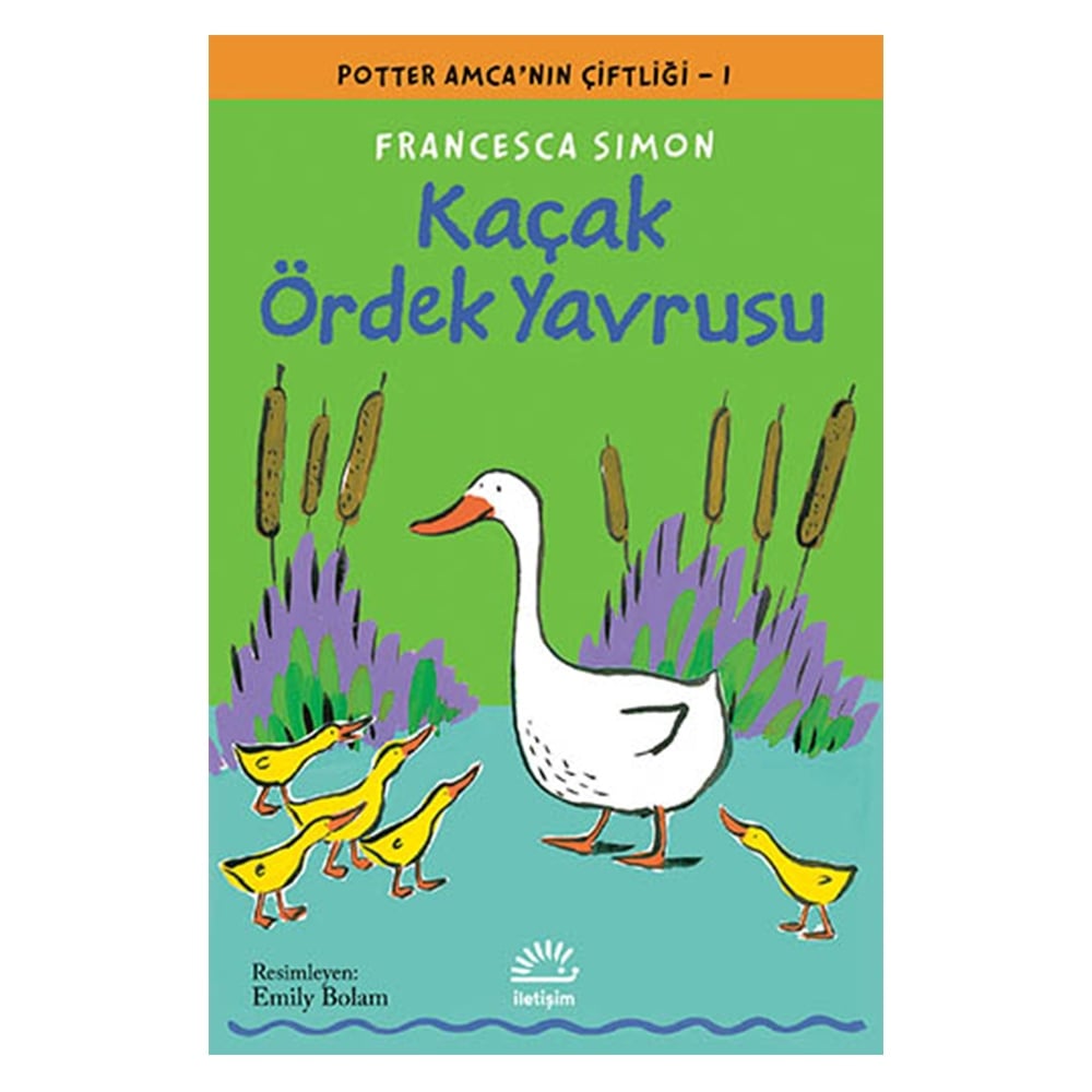 KAÇAK ÖRDEK YAVRUSU