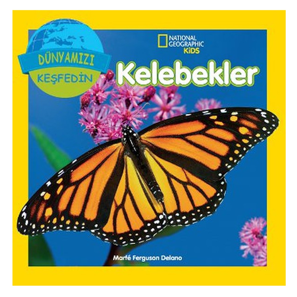 KELEBEKLER Çocuk Kitapları Uzmanı - Children's Books Expert