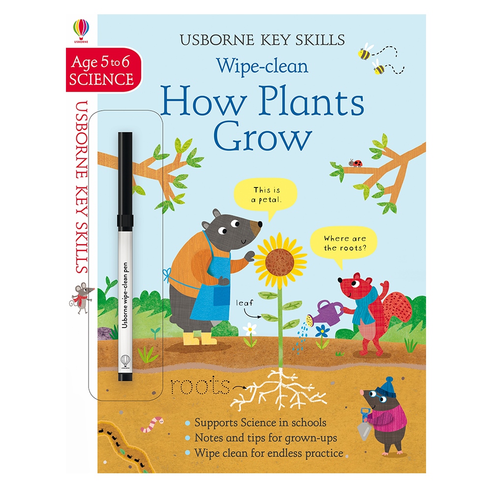 KEY SKILLS WIPE CLEAN HOW PLANTS GROW 5-6 Çocuk Kitapları Uzmanı - Children's Books Expert