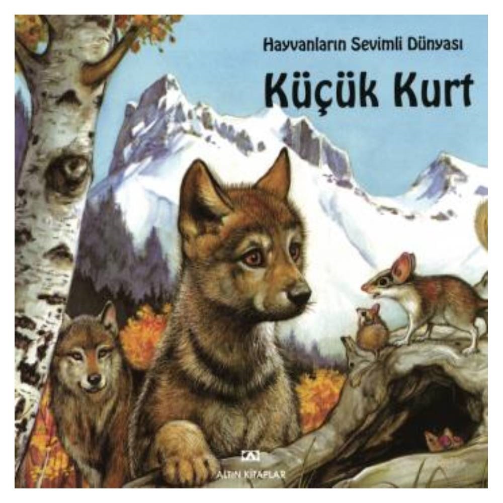 KÜÇÜK KURT Çocuk Kitapları Uzmanı - Children's Books Expert
