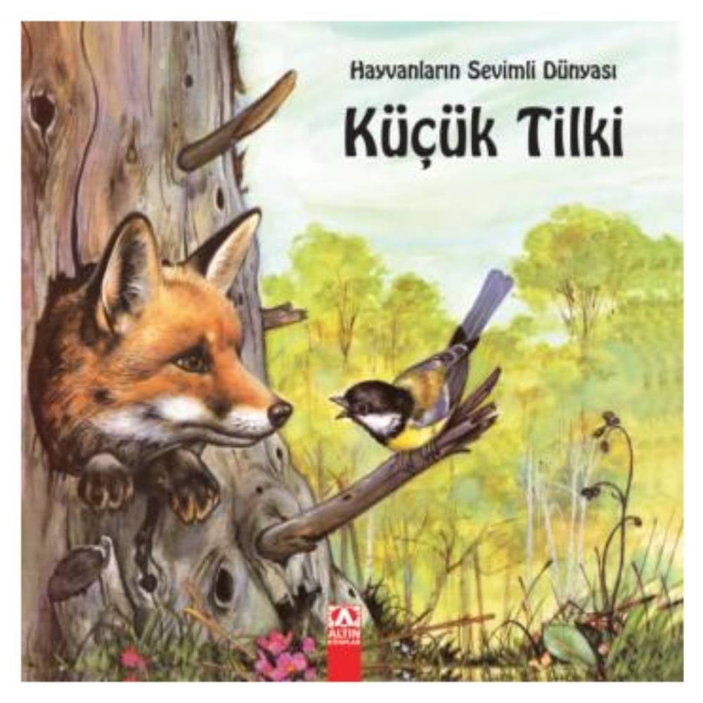 KÜÇÜK TİLKİ Çocuk Kitapları Uzmanı - Children's Books Expert