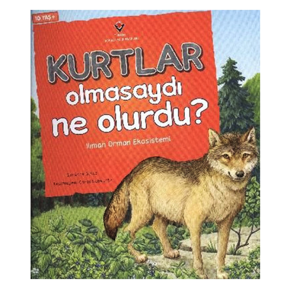 KURTLAR OLMASAYDI NE OLURDU ILIMAN ORMAN EKOSİSTEM Çocuk Kitapları Uzmanı - Children's Books Expert