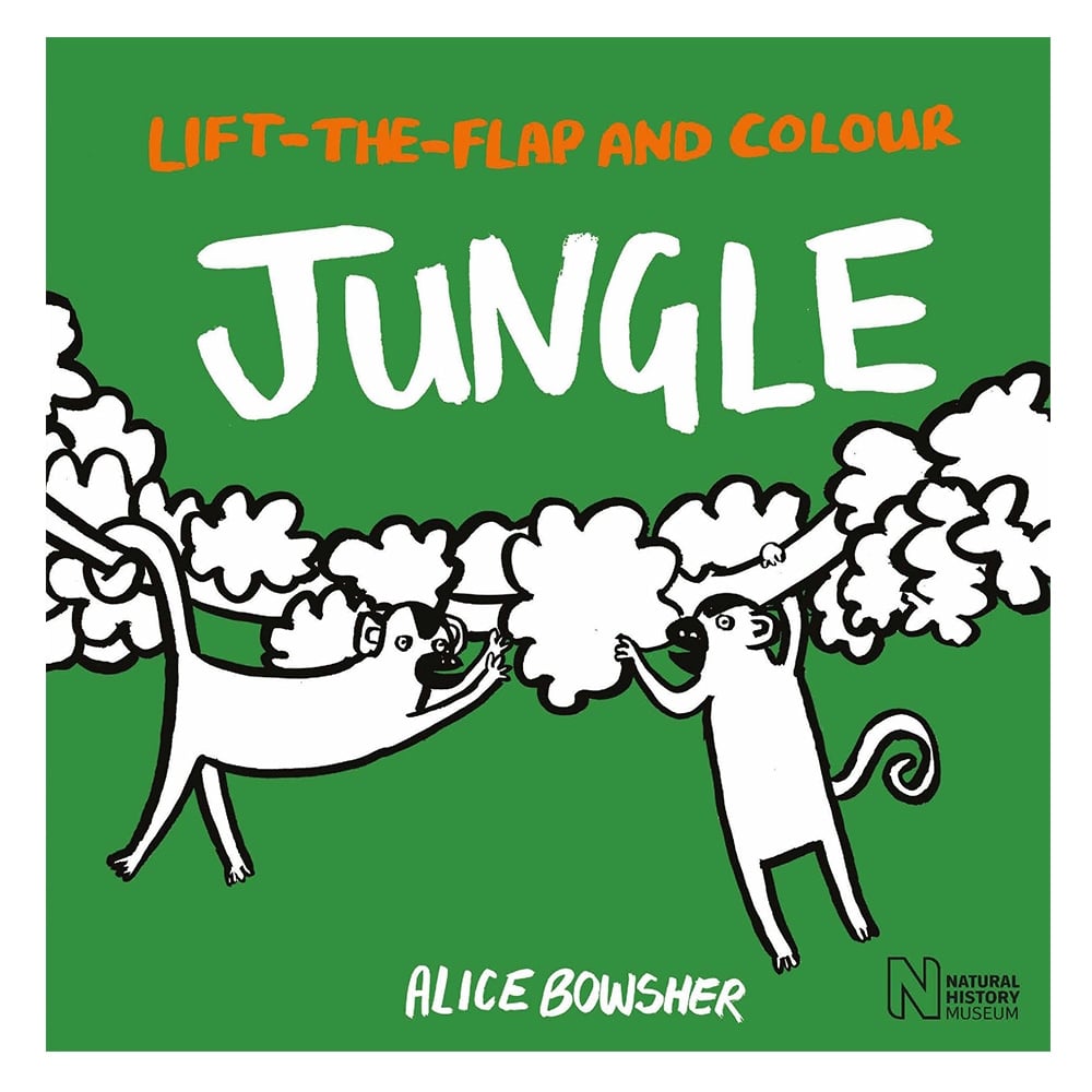 LIFT-THE-FLAP AND COLOUR - JUNGLE