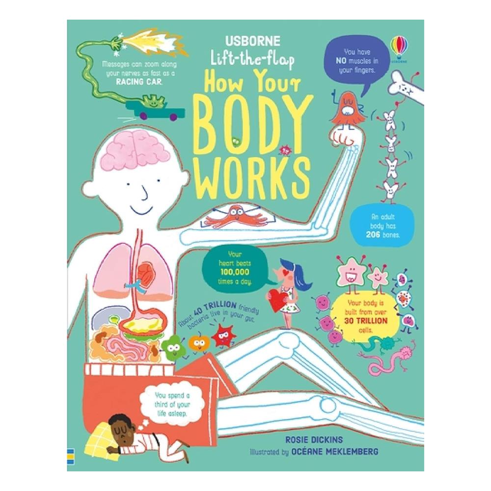 Lift the Flap How Your Body Works Çocuk Kitapları Uzmanı - Children's Books Expert