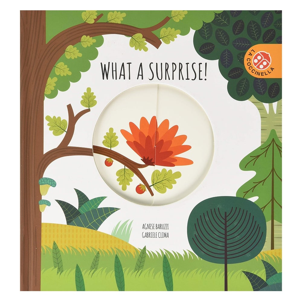 MAGIC WHEELS: WHAT A SURPRISE! Çocuk Kitapları Uzmanı - Children's Books Expert