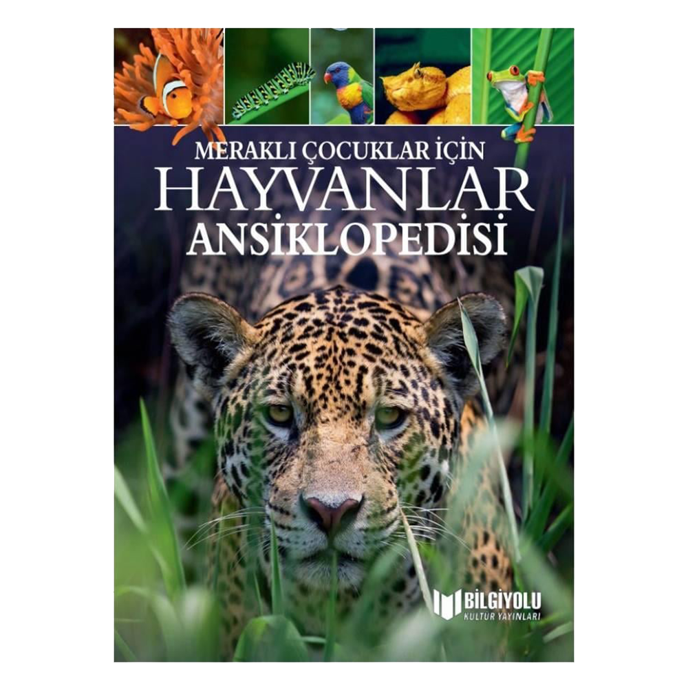 Meraklı Çocuklar İçin Hayvanlar Ansiklopedisi Çocuk Kitapları Uzmanı - Children's Books Expert