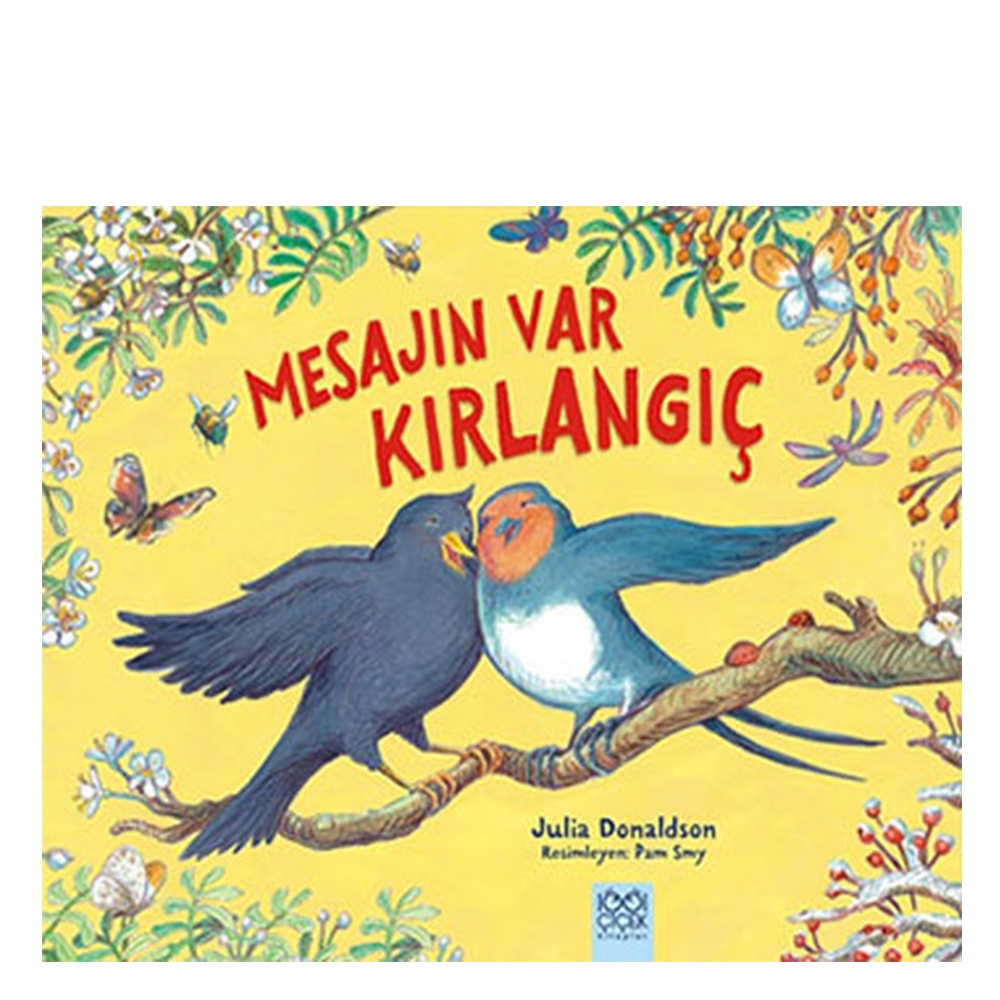 MESAJIN VAR KIRLANGIÇ