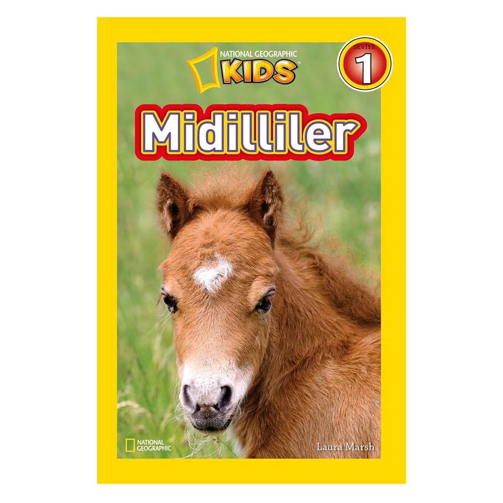 MİDİLLİLER Çocuk Kitapları Uzmanı - Children's Books Expert