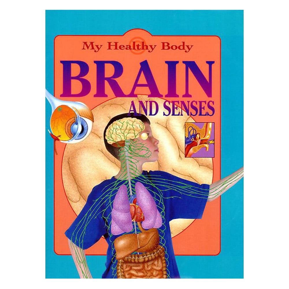 MY HEALTHY BODY BRAIN AND SENSES Çocuk Kitapları Uzmanı - Children's Books Expert