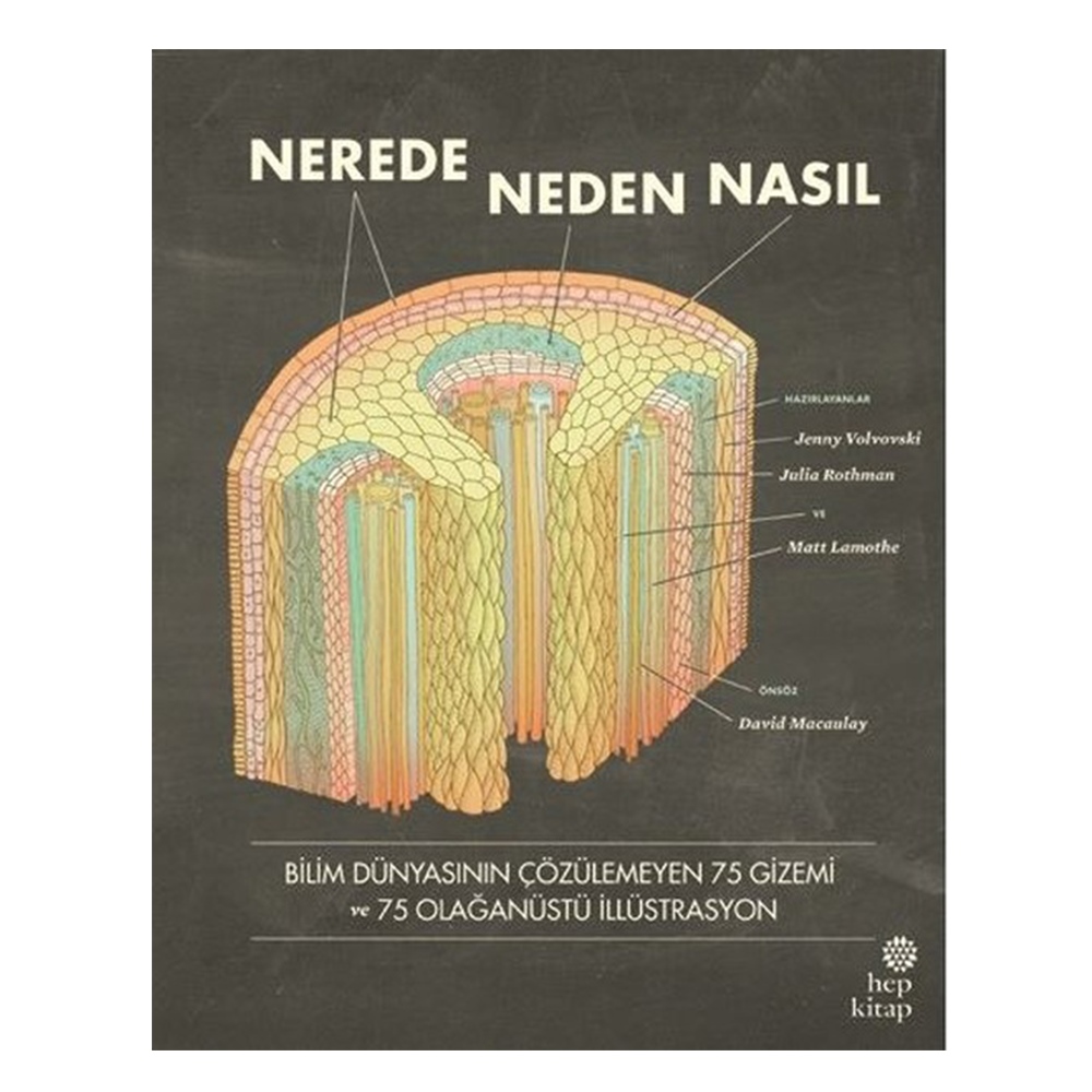 NEREDE, NEDEN, NASIL Çocuk Kitapları Uzmanı - Children's Books Expert