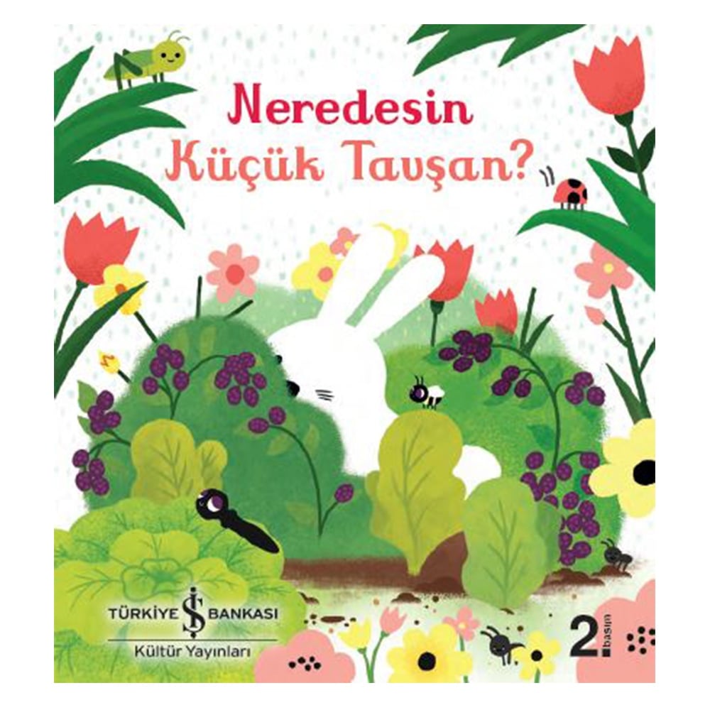 NEREDESİN KÜÇÜK TAVŞAN Çocuk Kitapları Uzmanı - Children's Books Expert