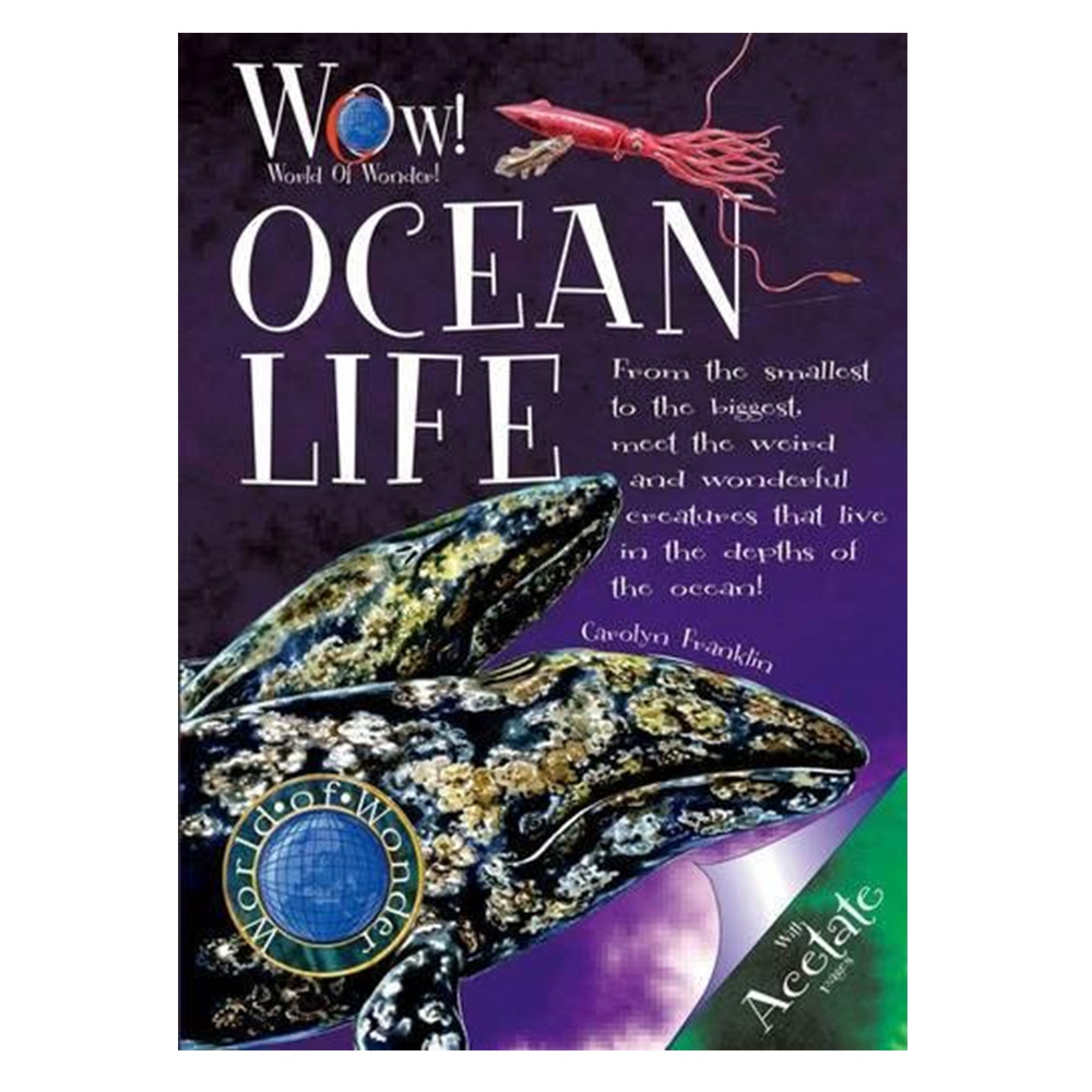 OCEAN LIFE (WORLD OF WONDER) Çocuk Kitapları Uzmanı - Children's Books Expert