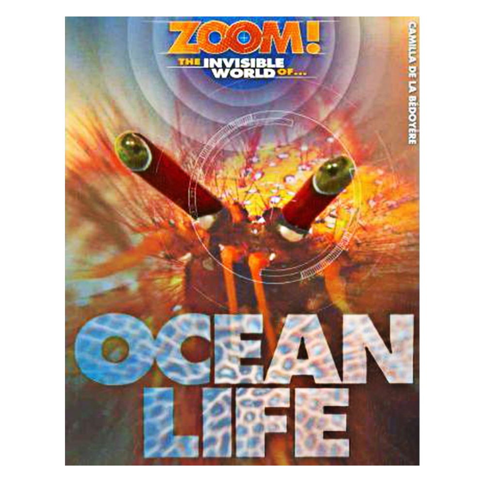 OCEAN LIFE - ZOOM! Çocuk Kitapları Uzmanı - Children's Books Expert