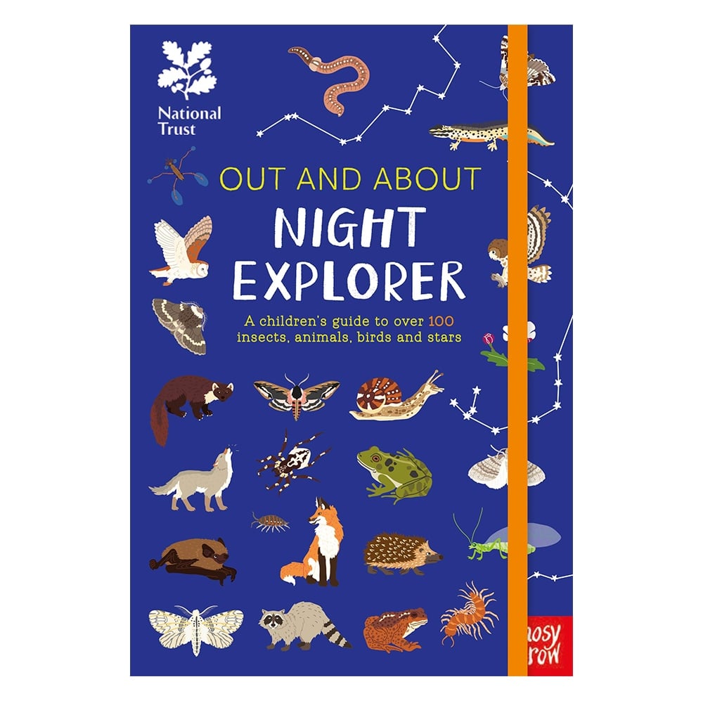 OUT AND ABOUT NIGHT EXPLORER Çocuk Kitapları Uzmanı - Children's Books Expert