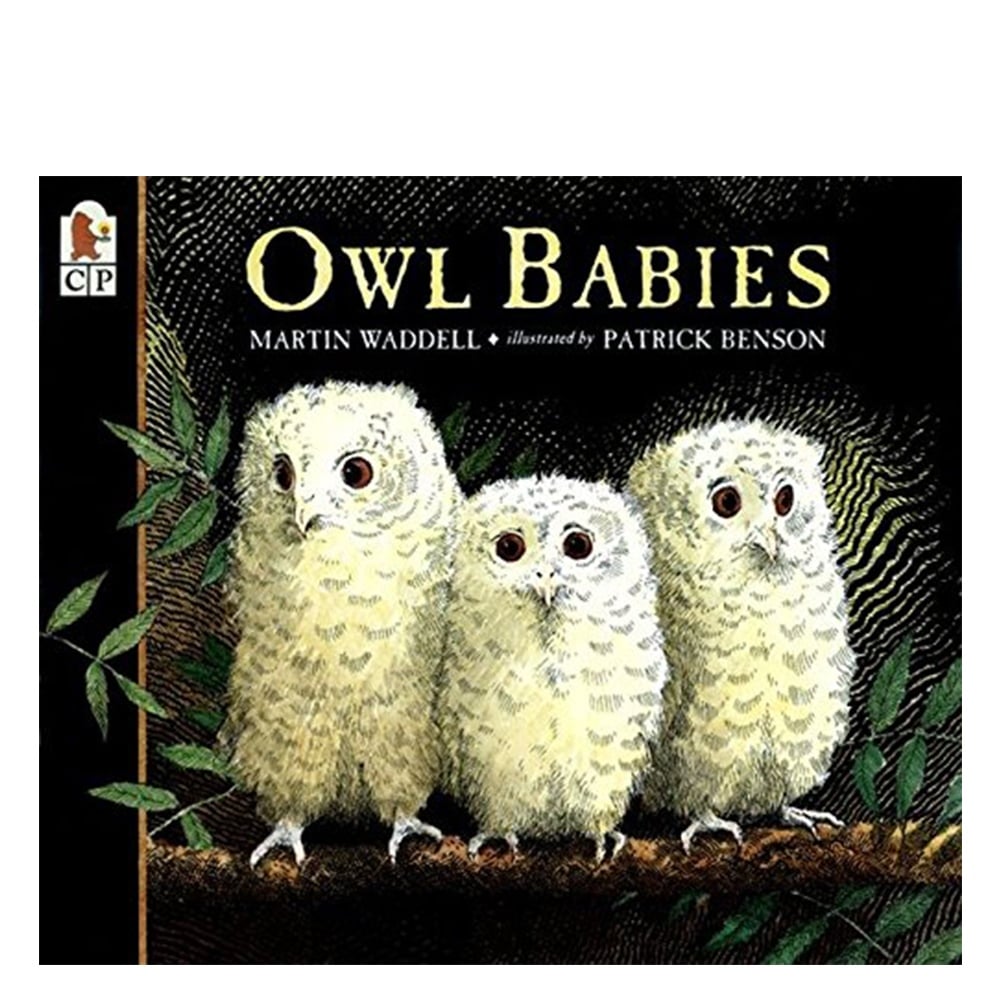 OWL BABIES Çocuk Kitapları Uzmanı - Children's Books Expert