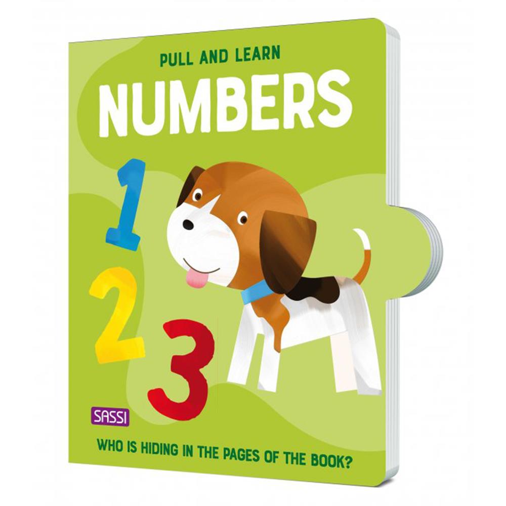 PULL AND LEARN NUMBERS Çocuk Kitapları Uzmanı - Children's Books Expert