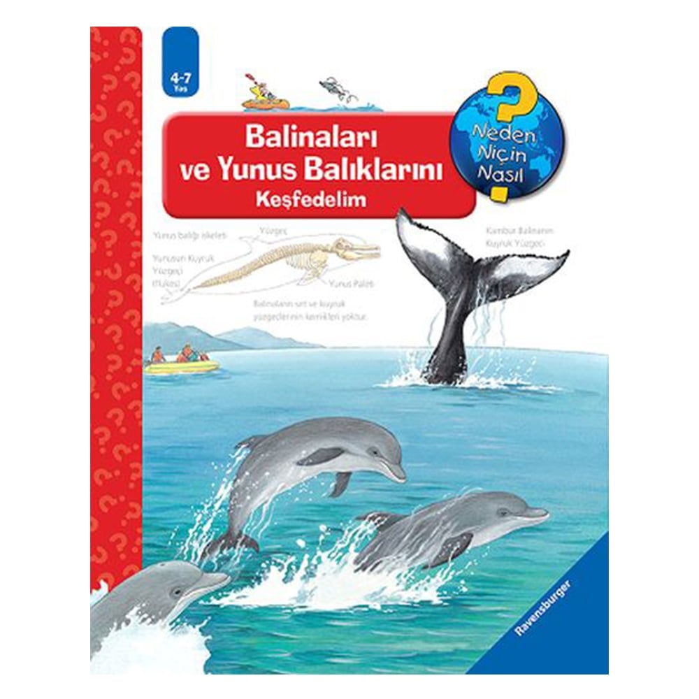 RAVENSBURGER MAKSİ - BALİNALARI VE YUNUS BALIKLARINI KEŞFEDELİM Çocuk Kitapları Uzmanı - Children's Books Expert