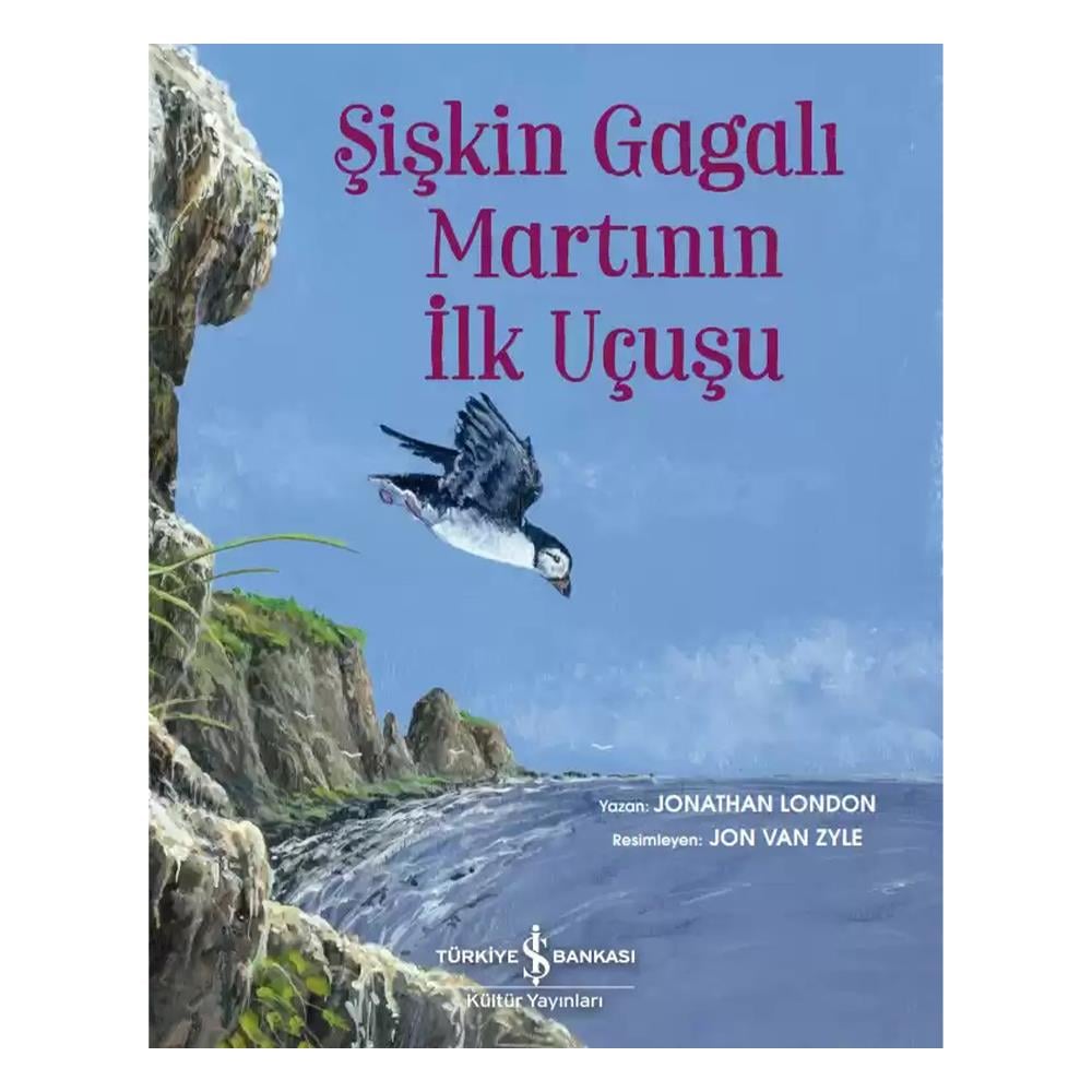 ŞİŞKİN GAGALI MARTININ İLK UÇUŞU Çocuk Kitapları Uzmanı - Children's Books Expert