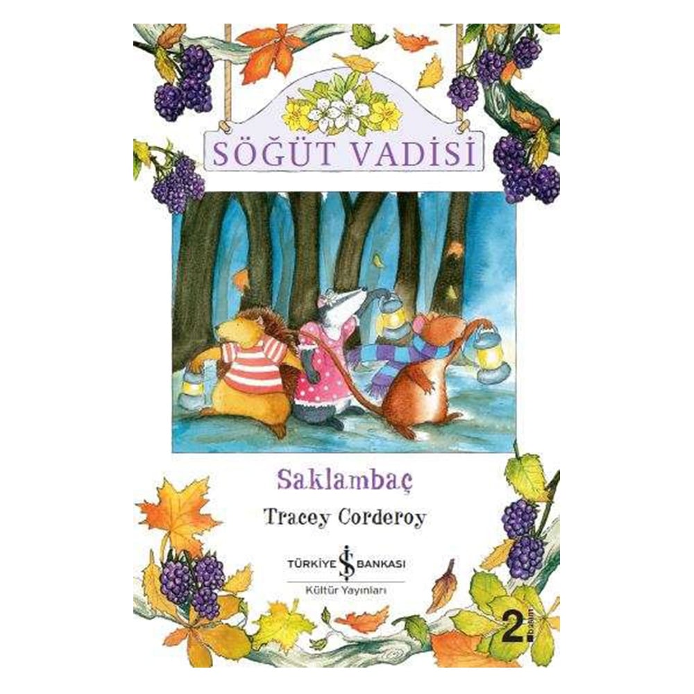 SÖĞÜT VADİSİ SAKLAMBAÇ Çocuk Kitapları Uzmanı - Children's Books Expert