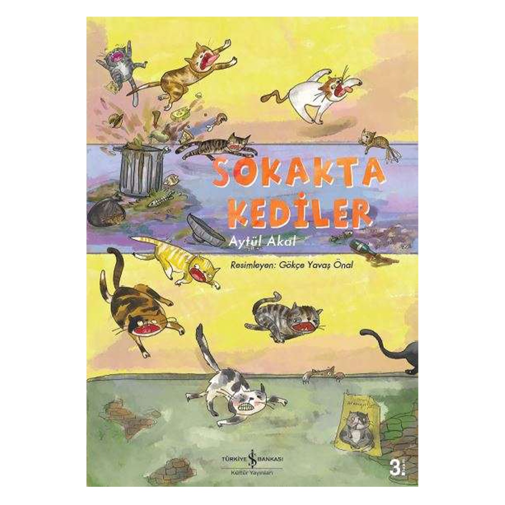 SOKAKTA KEDİLER Çocuk Kitapları Uzmanı - Children's Books Expert