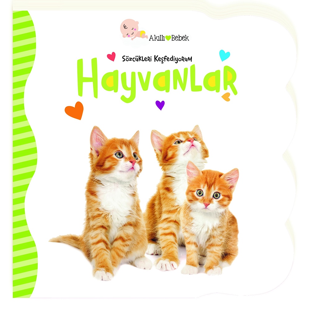 SÖZCÜKLERİ KEŞFEDİYORUM HAYVANLAR Çocuk Kitapları Uzmanı - Children's Books Expert