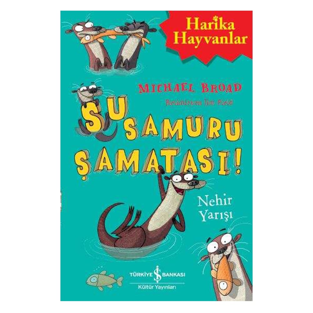 SU SAMURU ŞAMATASI