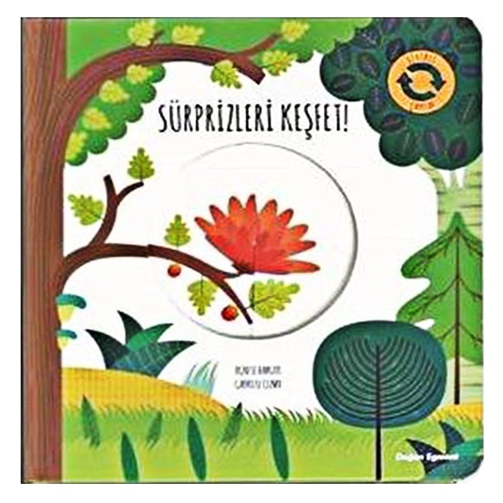 SÜRPRİZLERİ KEŞFET!-SİHİRLİ ÇARKLAR Çocuk Kitapları Uzmanı - Children's Books Expert