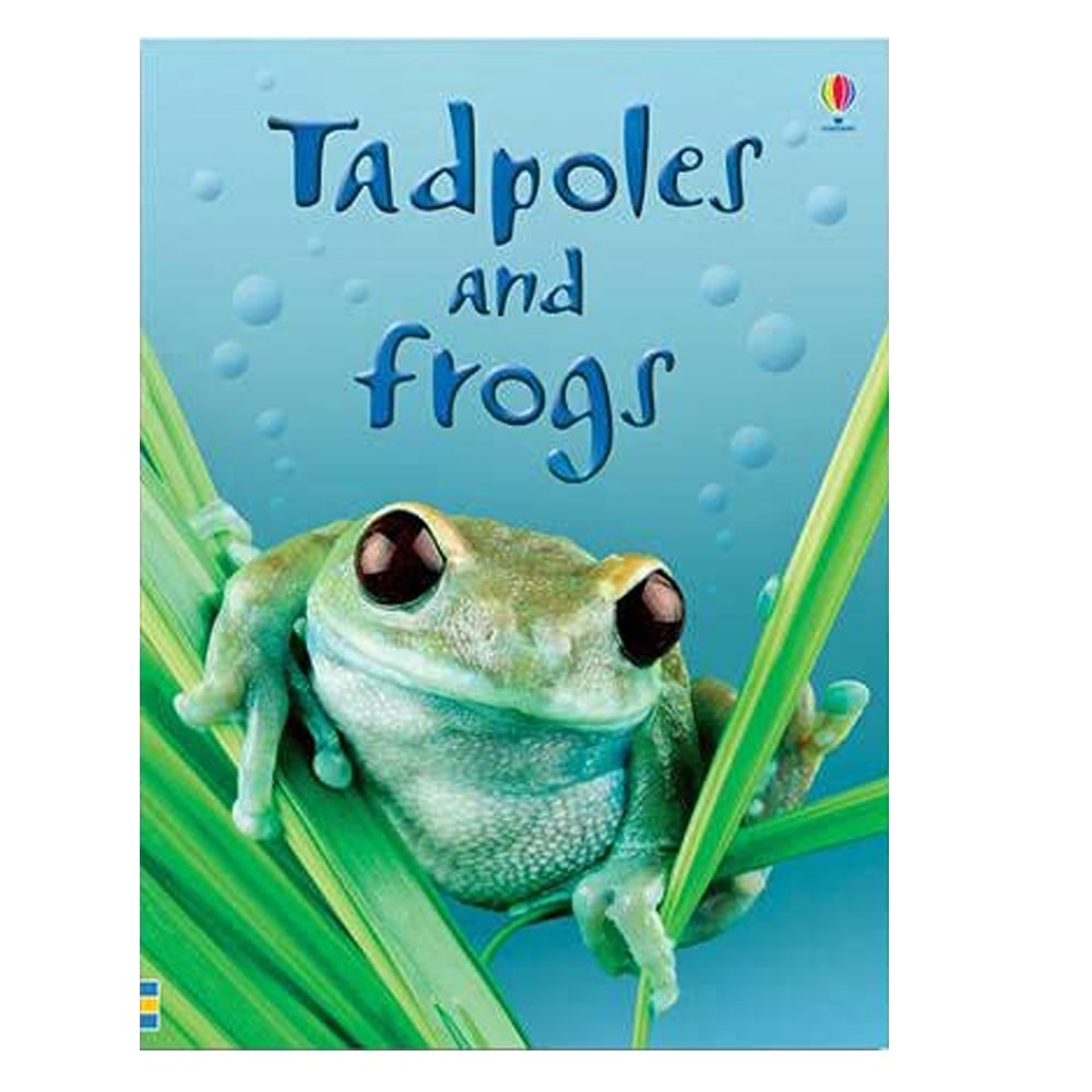 TADPOLES AND FROGS - BEGINNERS Çocuk Kitapları Uzmanı - Children's Books Expert