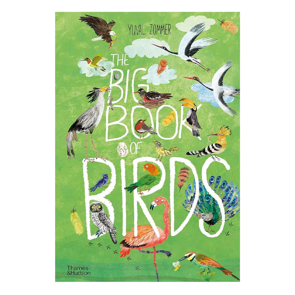 The Big Book Of Birds Çocuk Kitapları Uzmanı - Children's Books Expert