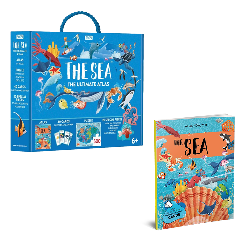 The Sea - The Ultimate Atlas Çocuk Kitapları Uzmanı - Children's Books Expert