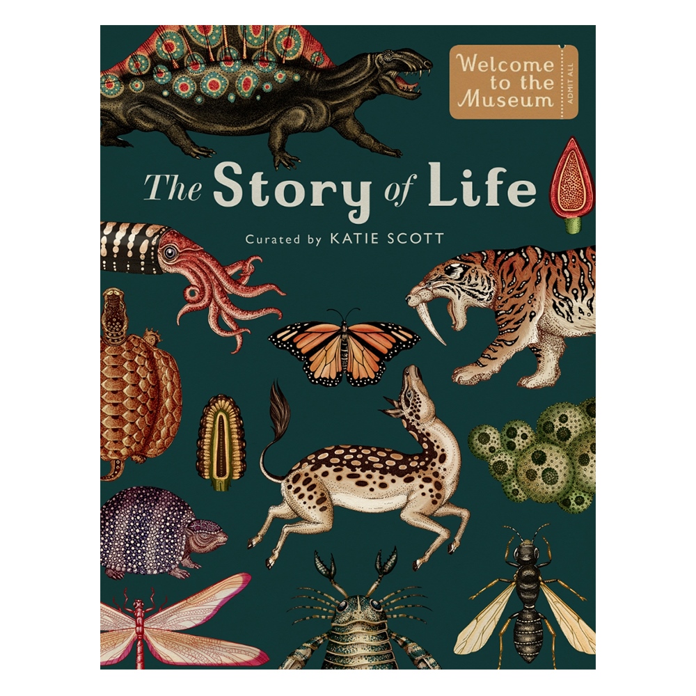 THE STORY OF LIFE EVOLUTION Çocuk Kitapları Uzmanı - Children's Books Expert