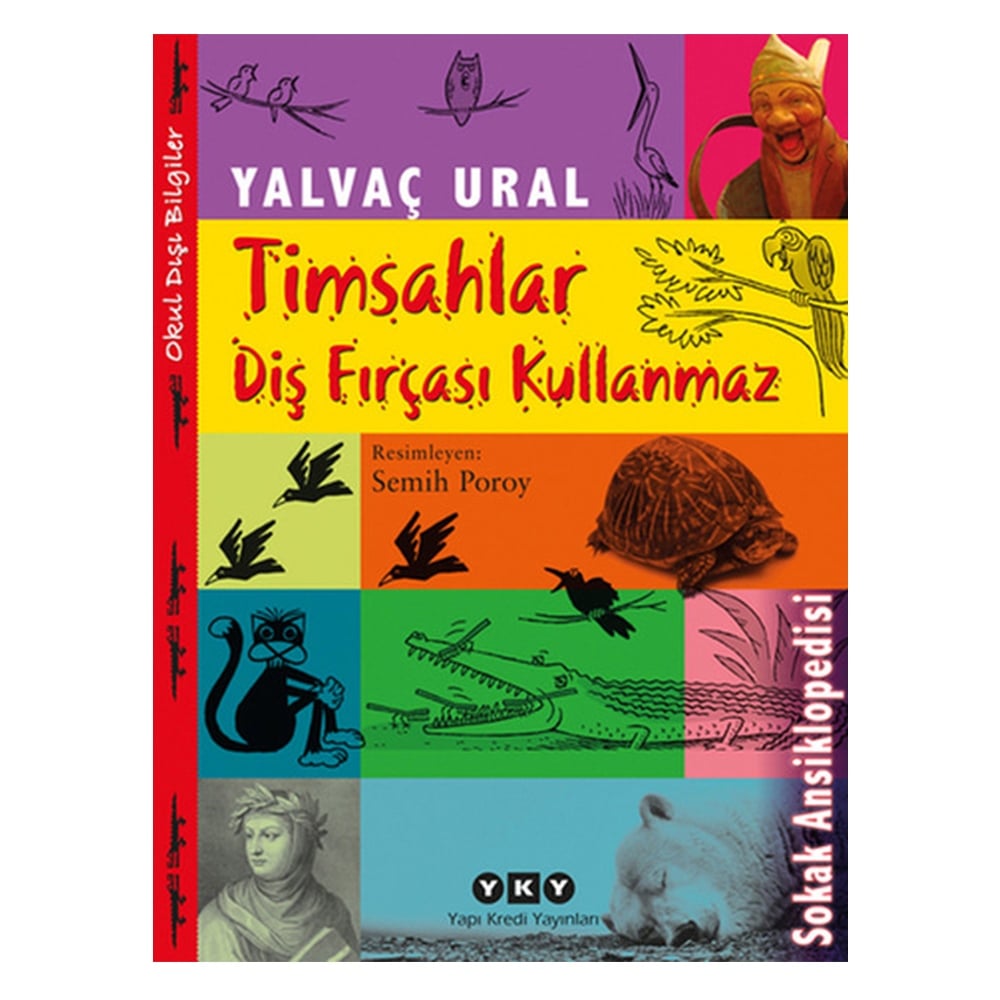 TİMSAHLAR DİŞ FIRÇASI KULLANMAZ