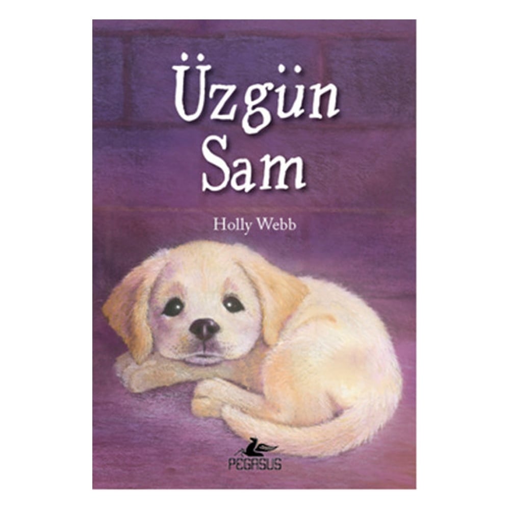 ÜZGÜN SAM Çocuk Kitapları Uzmanı - Children's Books Expert