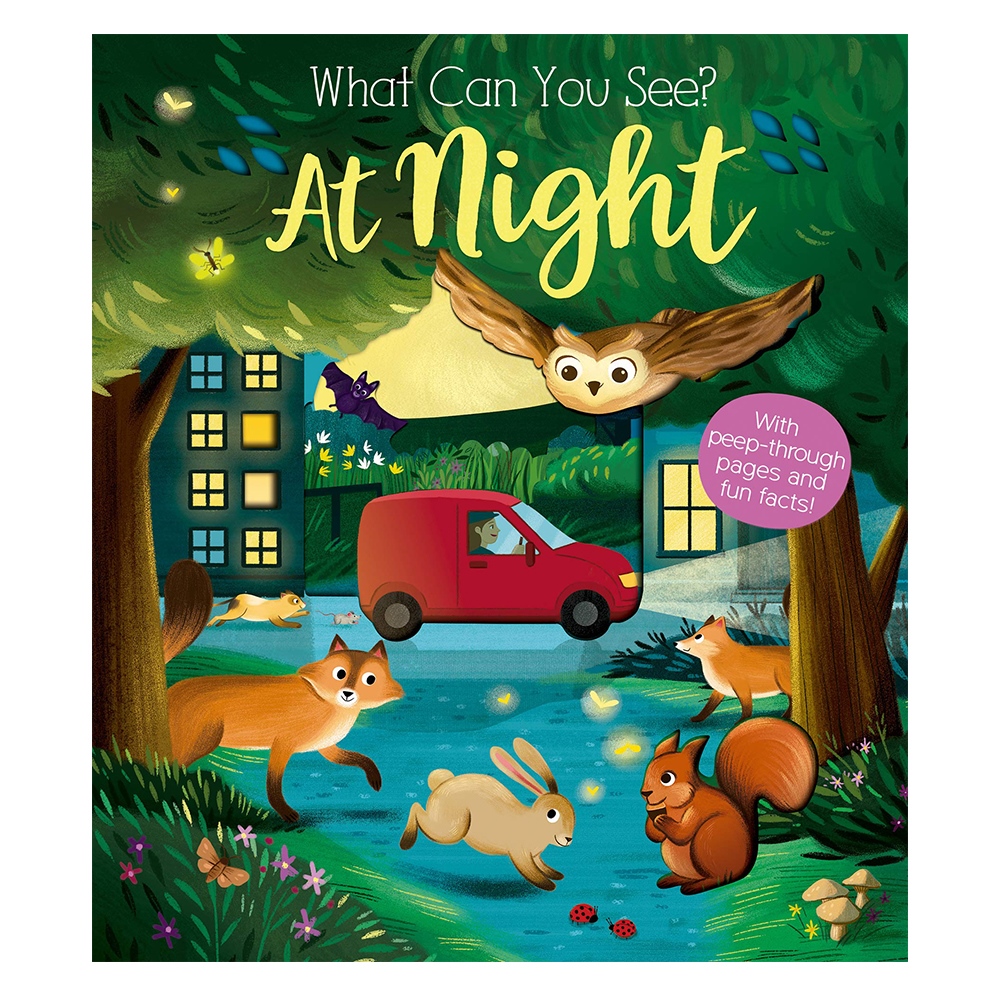 WHAT CAN YOU SEE? AT NIGHT Çocuk Kitapları Uzmanı - Children's Books Expert