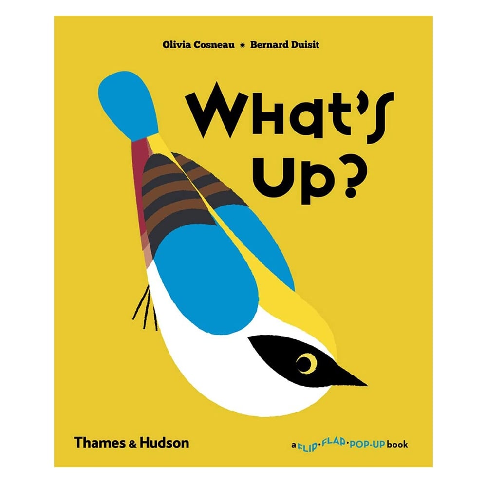 WHAT'S UP Çocuk Kitapları Uzmanı - Children's Books Expert