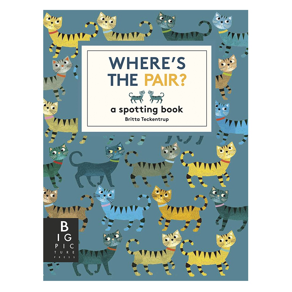 WHERE'S THE PAIR Çocuk Kitapları Uzmanı - Children's Books Expert