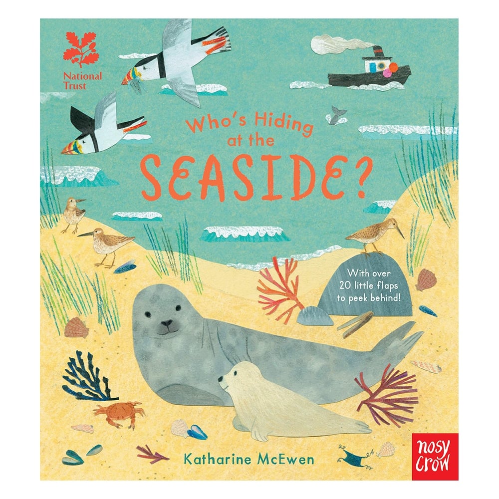 WHO'S HIDING AT THE SEASIDE Çocuk Kitapları Uzmanı - Children's Books Expert