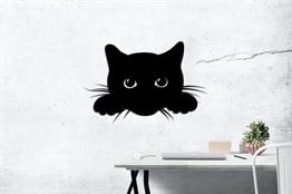 Sevimli Kedi
