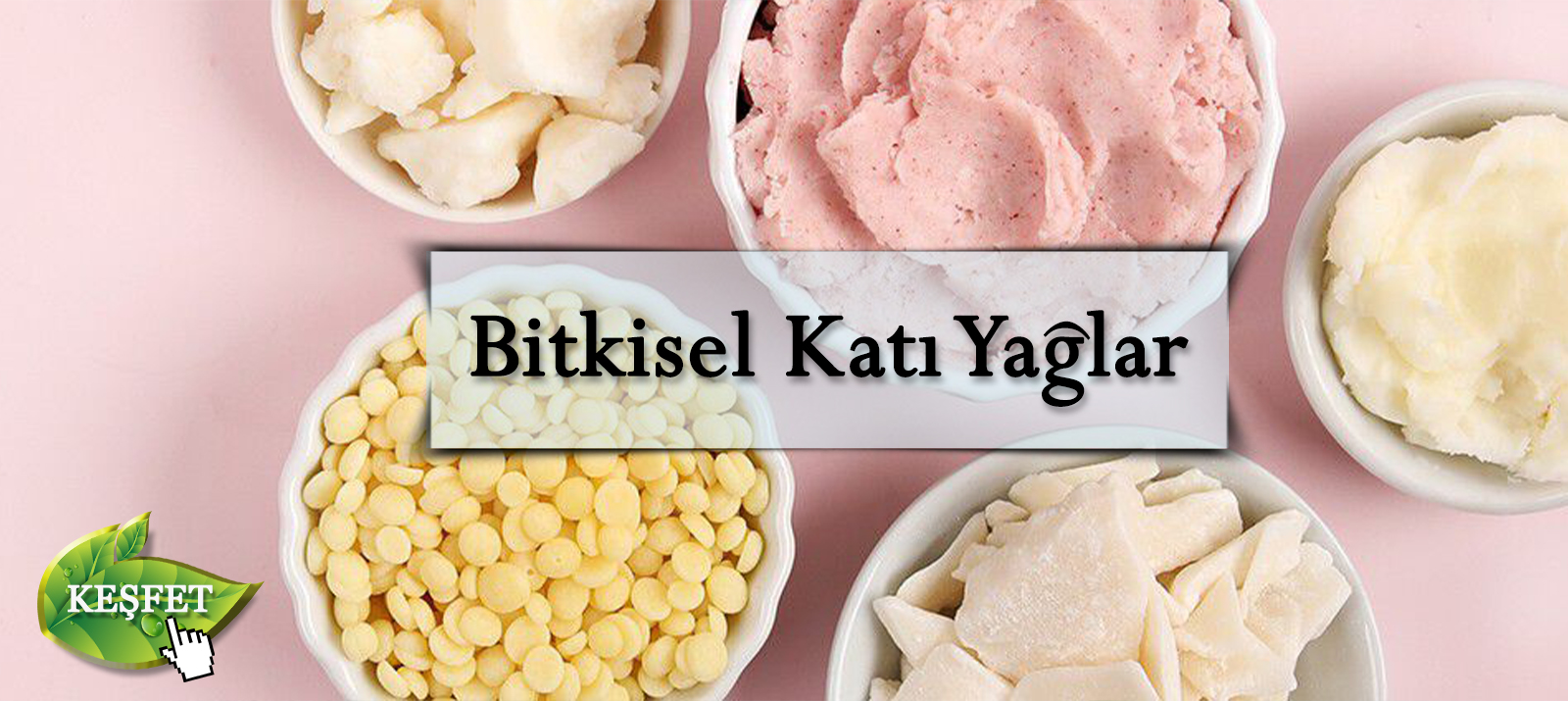 katı yağlar