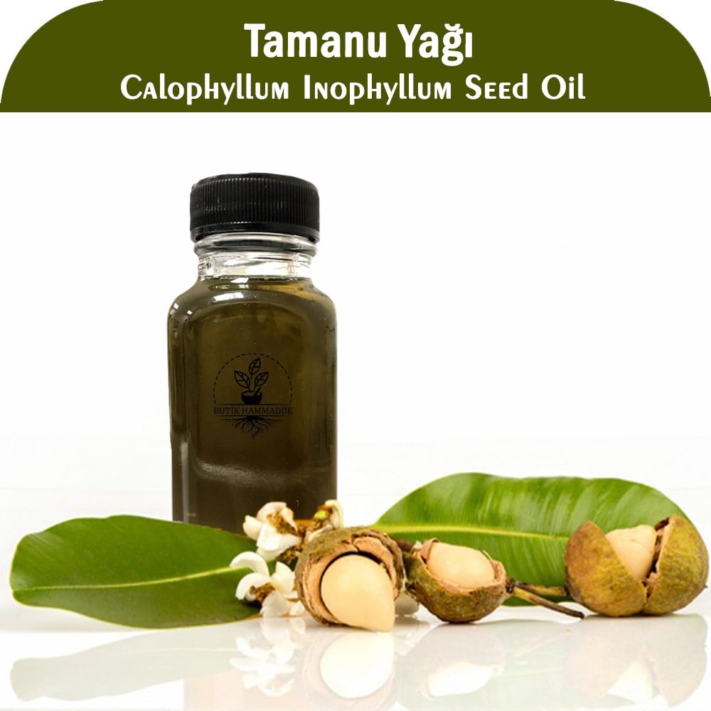 Tamanu Yağı