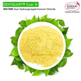 Guar Gam (DEHYQUART GUAR N)