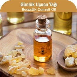 Günlük Uçucu Yağı