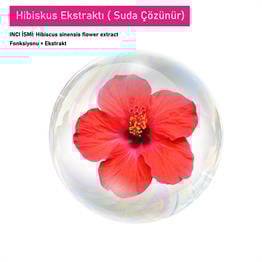 Hibiskus Ekstraktı ( Suda Çözünür)