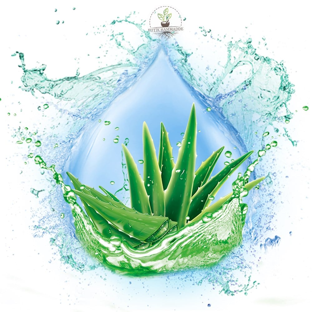 Aloe Vera Suyu